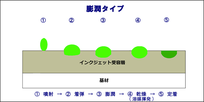 膨潤タイプのメカニズム